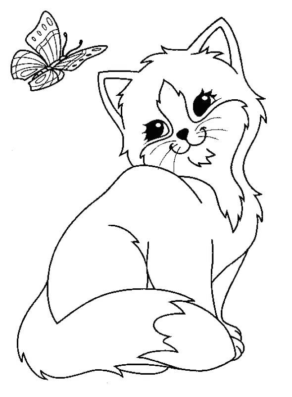 Free Butterfly and Black Cat Coloring Pages printable