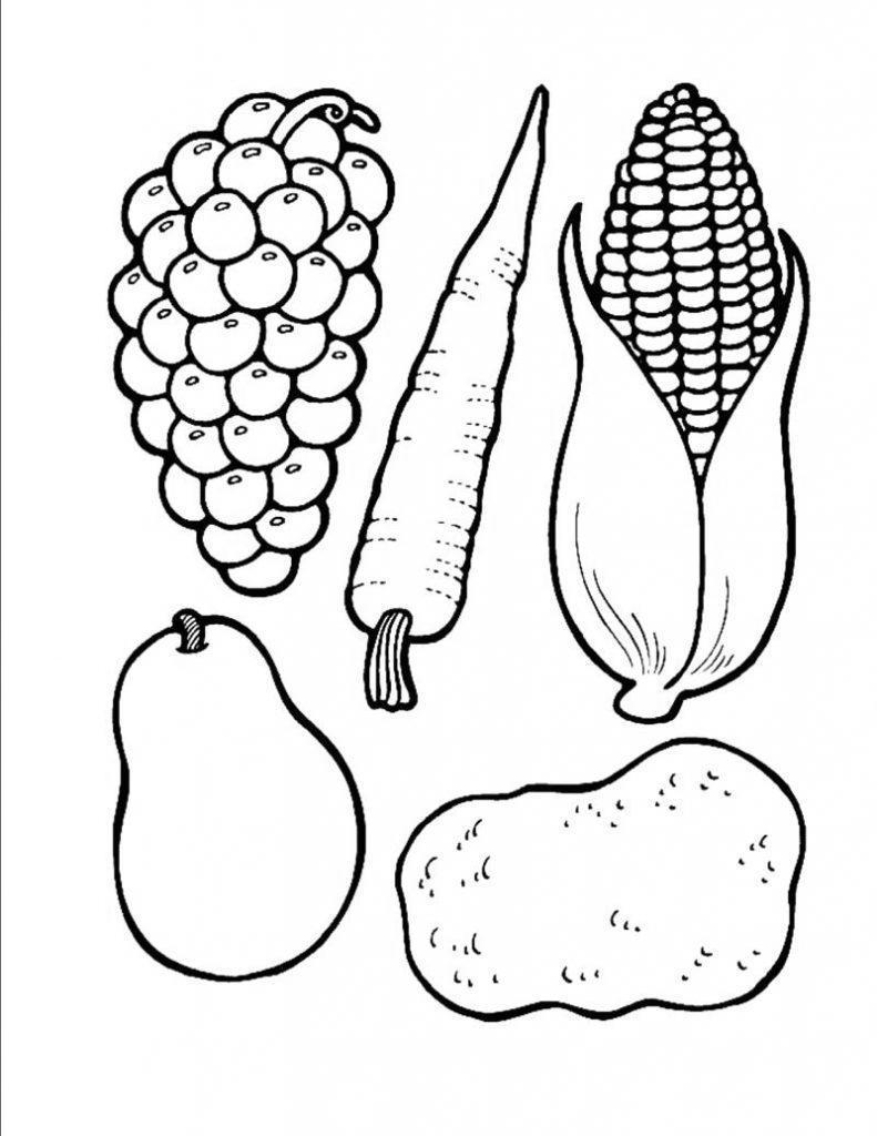 Free Thanksgiving Food Coloring Pages Fruits and Vegetables printable