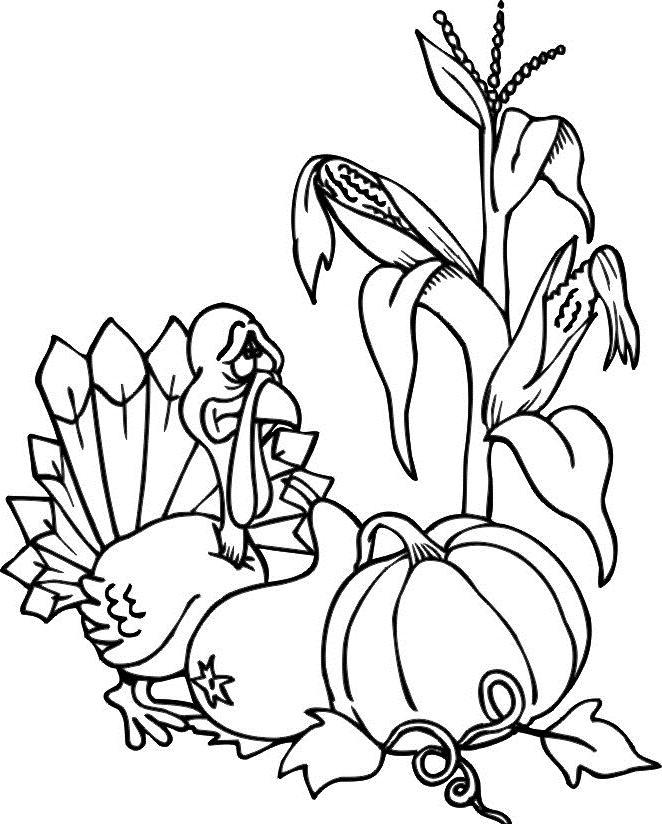 Free Thanksgiving Food Coloring Pages Turkey Corn and Pumpkin printable