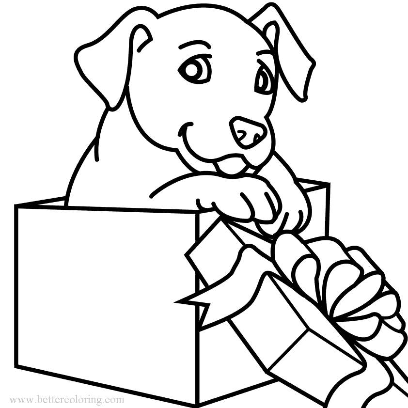 Christmas Dog in Box Coloring Pages Free Printable