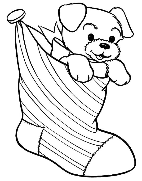 Free Dog in Stocking Coloring Pages printable